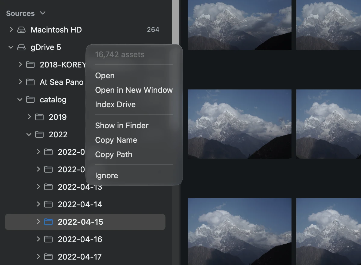 The gDrive 5 context menu with Index Drive available while a different folder remains open in the gallery